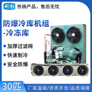利勃防爆冷库机组-冷冻库-30匹