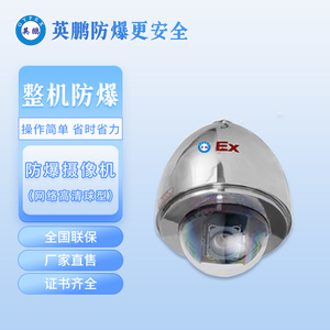 网络高清防爆球型摄像机