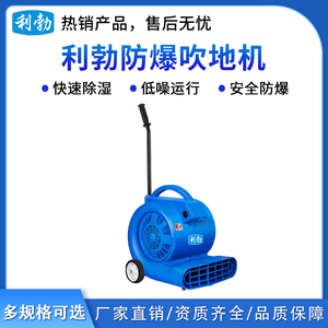 利勃防爆吹地机-1000w