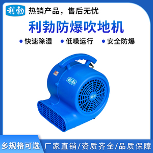 利勃防爆吹地机-300w