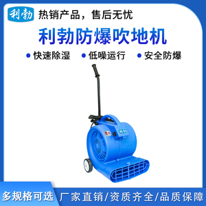 利勃防爆吹地机-900w
