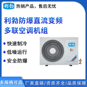 利勃防爆直流变频多联空调机组