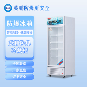 英鹏防爆冰箱-玻璃门300L