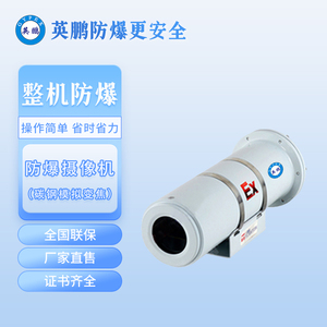 碳钢模拟防爆变焦摄像机