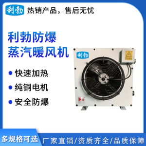 利勃防爆蒸汽暖风机-24KW