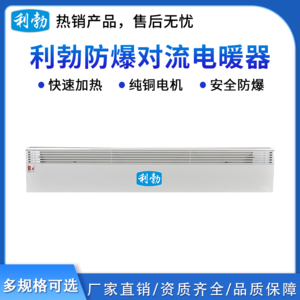 利勃防爆对流电暖器-2000W