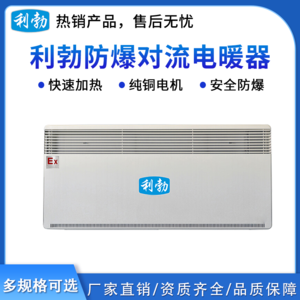 利勃防爆对流电暖器-2500W