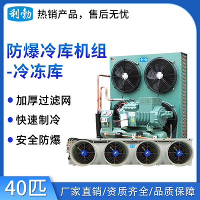 利勃防爆冷库机组-冷冻库-40匹