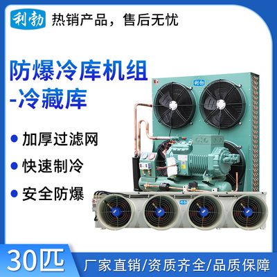 利勃防爆冷库机组-冷藏库-30匹