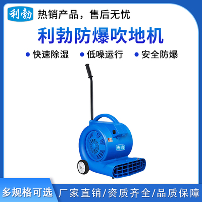 利勃防爆吹地机-1000w