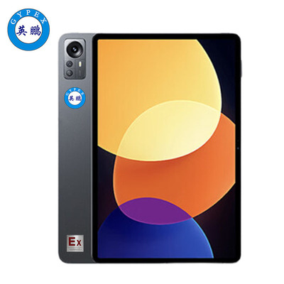 防爆平板电脑-EXDN-12YP-AP1-石油化工航天航空