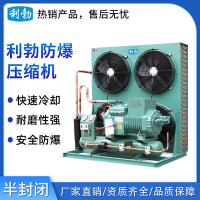 利勃防爆半封闭-压缩机冷库制冷机组根据需求定制