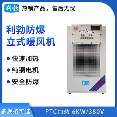 利勃防爆小功率-暖风机-6KW-220V